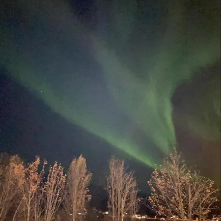 Arctic Lyngen Nyaraló Straumen