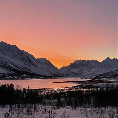 Arctic Lyngen Straumen