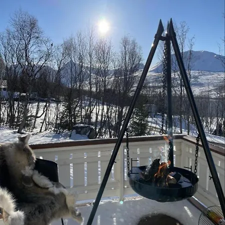 Arctic Lyngen Nyaraló Straumen